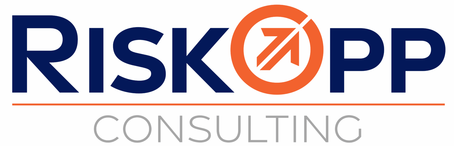 RISKOPP CONSULTING